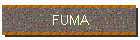 FUMA